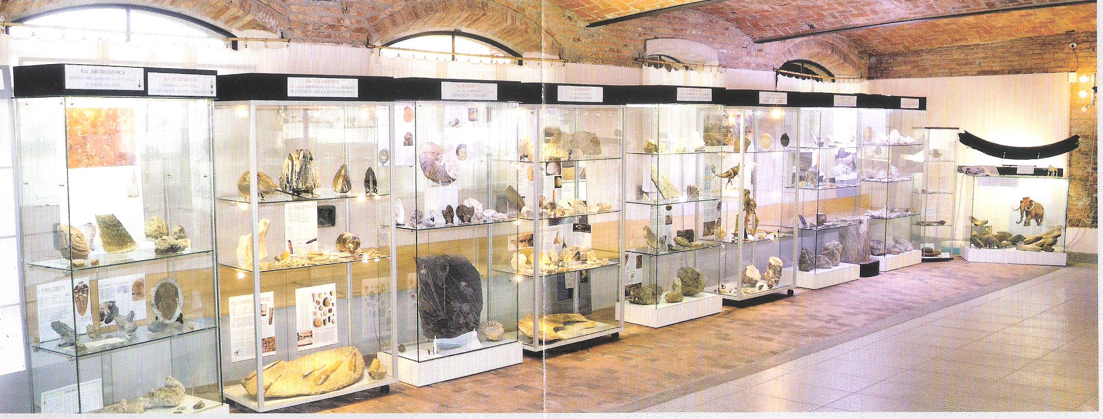 Agriturismo Torretta - Museo di Storia Naturale
