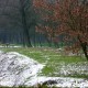Il Bosco di Santa Maria