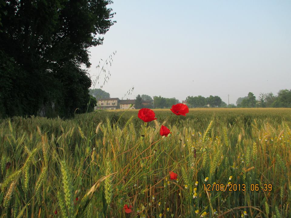 San Martino del Lago