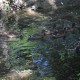 Rivarolo del Re ed Uniti | Villa Longari Ponzone